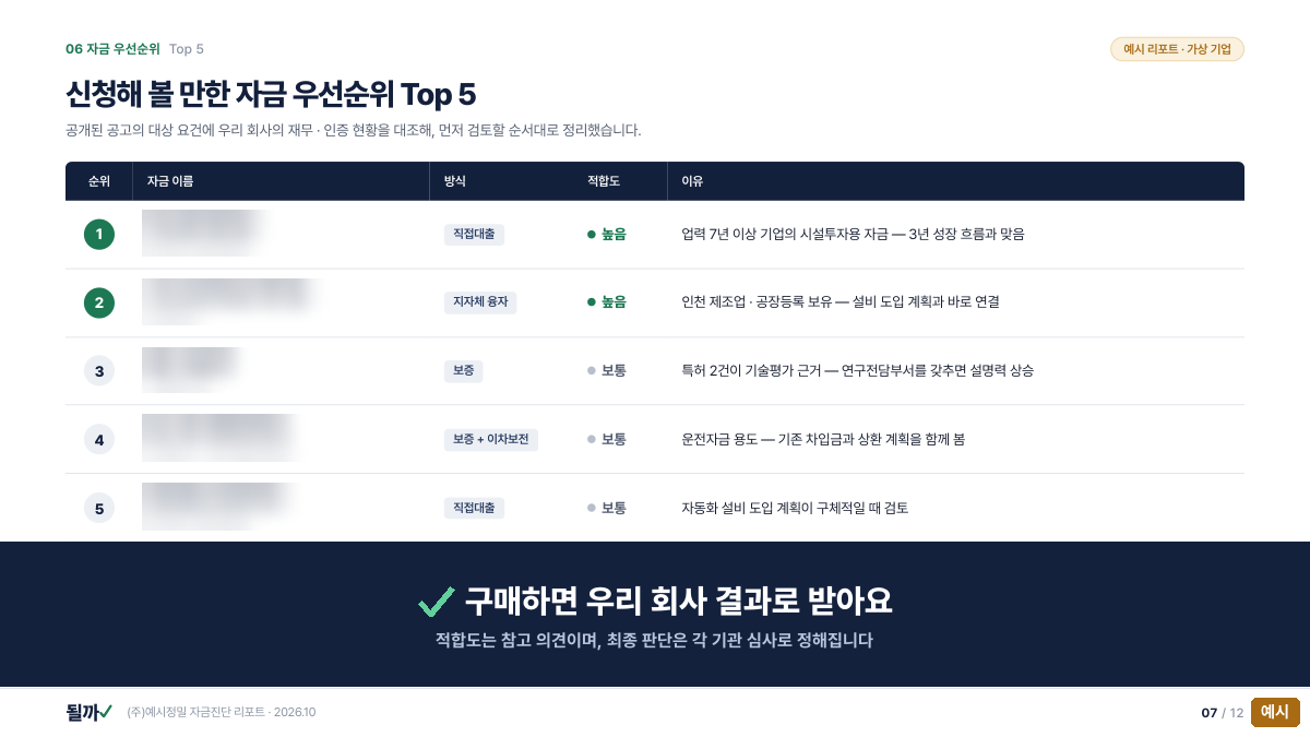 자금 이름을 가린 리포트 결과 예시